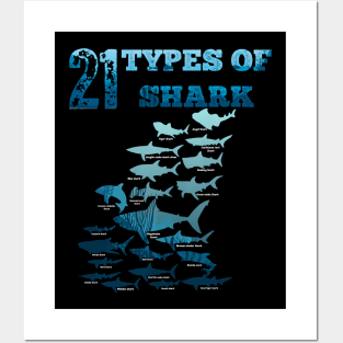 21 Types of sharks Posters and Art